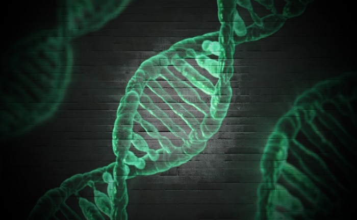 Ceinge Biotecnologie Avanzate di Napoli