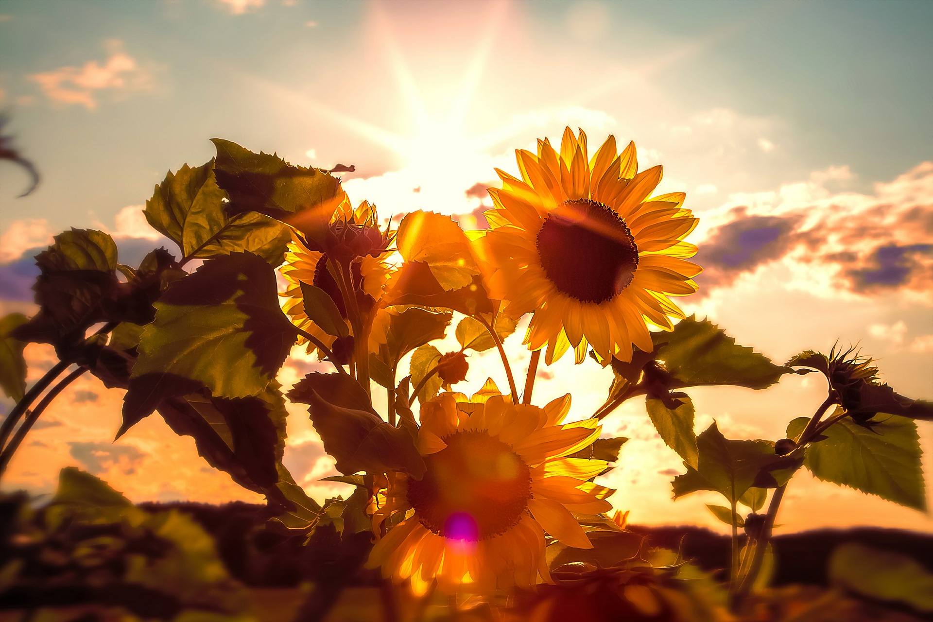 Il mese di Maggio e la Ricerca
