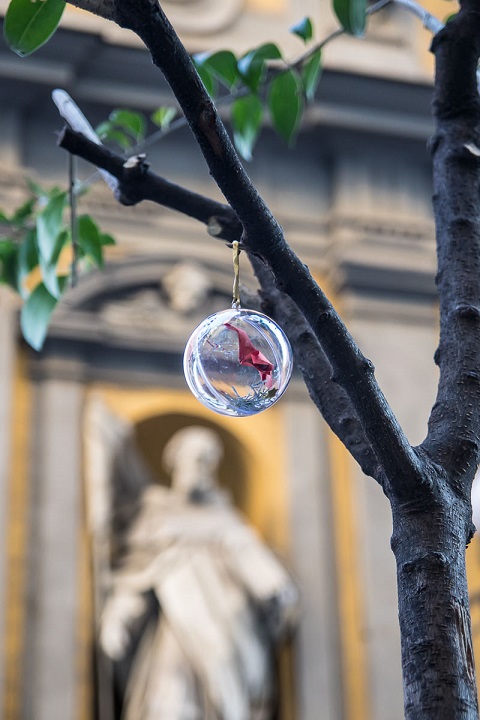 Foto di Pietro Perrino