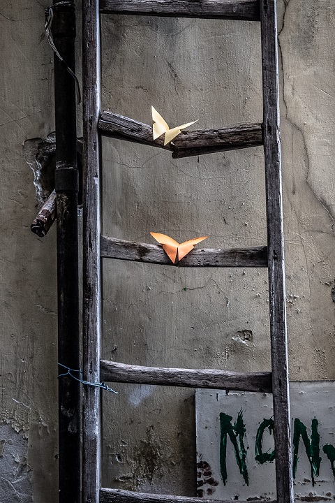 Foto di Pietro Perrino